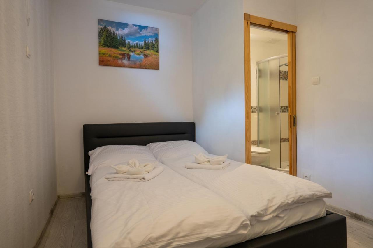 Karkonosky Apartamenty- Ściegny エクステリア 写真
